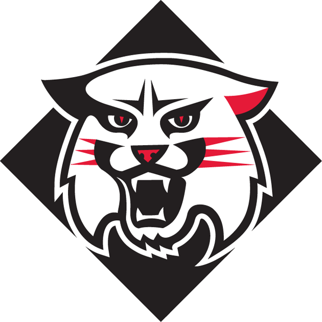 Davidson Wildcats 2010-Pres Alternate Logo iron on transfers for fabric